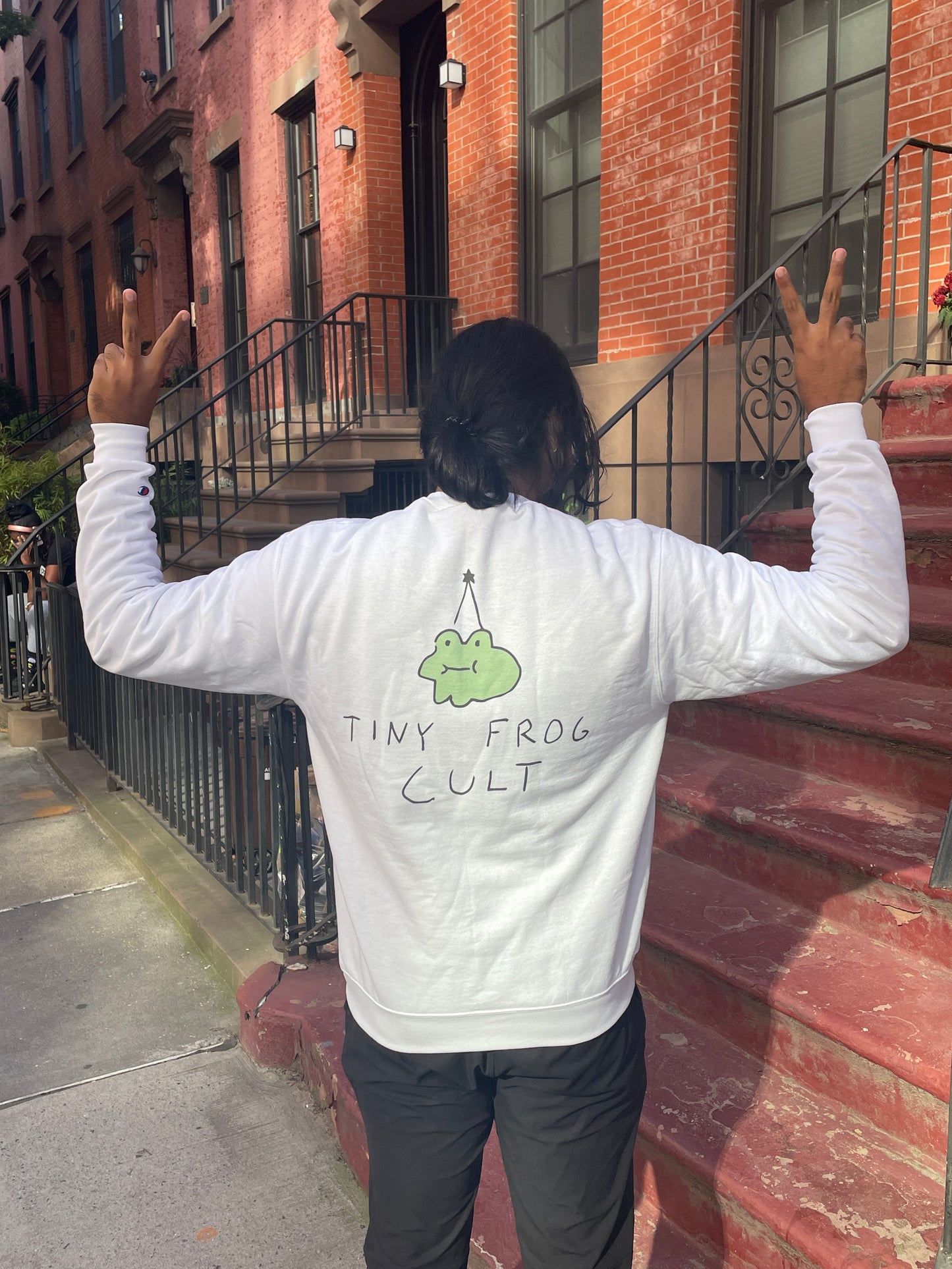 Tiny Frog Cult Sweatshirt