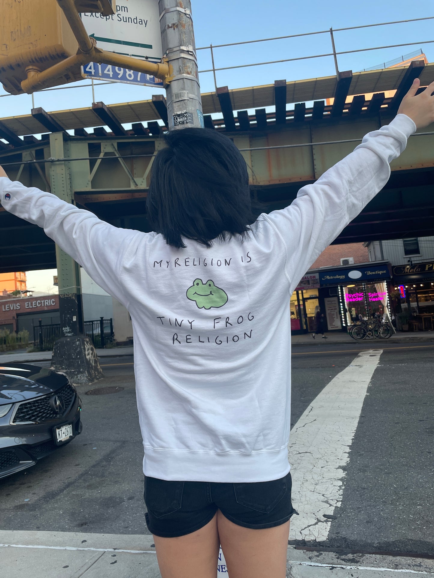 Tiny Frog Religion Sweatshirt